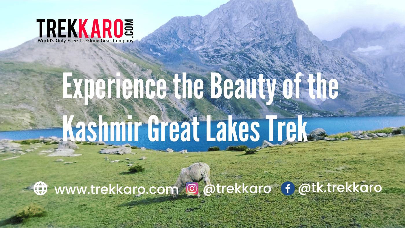 Experience the Beauty of the Kashmir Great Lakes Trek